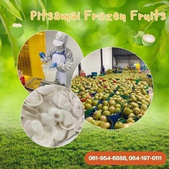 โรงงานผลิตเนื้อมะพร้าวแช่แข็ง