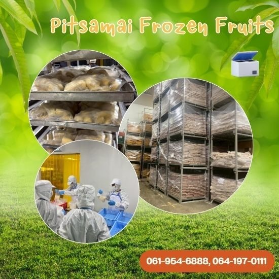 โรงงานรับฝากแช่ผลไม้