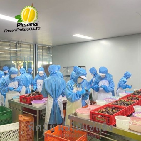 ผลิตผลไม้แข่แข็งรองรับออเดอร์ตลอดทั้งปี