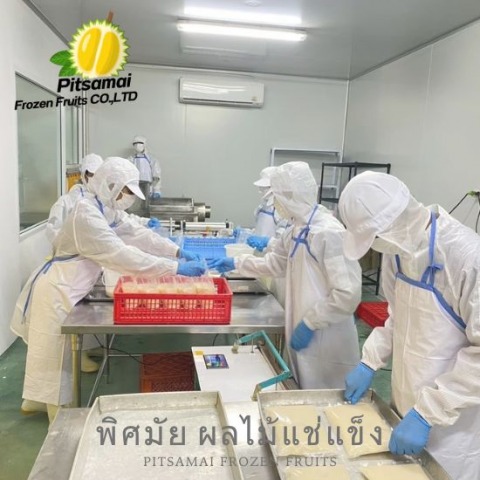 โรงงานผลิตผลไม้แช่แข็ง