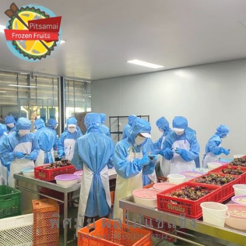 ผลิตผลไม้แข่แข็งรองรับออเดอร์ตลอดทั้งปี