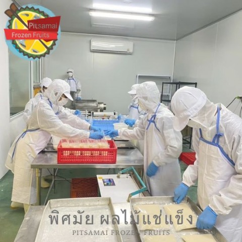 โรงงานผลิตผลไม้แช่แข็ง
