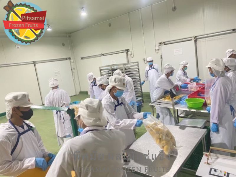 ผู้ผลิตเนื้อผลไม้แช่แข็งคุณภาพจากโรงงาน ผู้ผลิตเนื้อผลไม้แช่แข็งคุณภาพจากโรงงาน