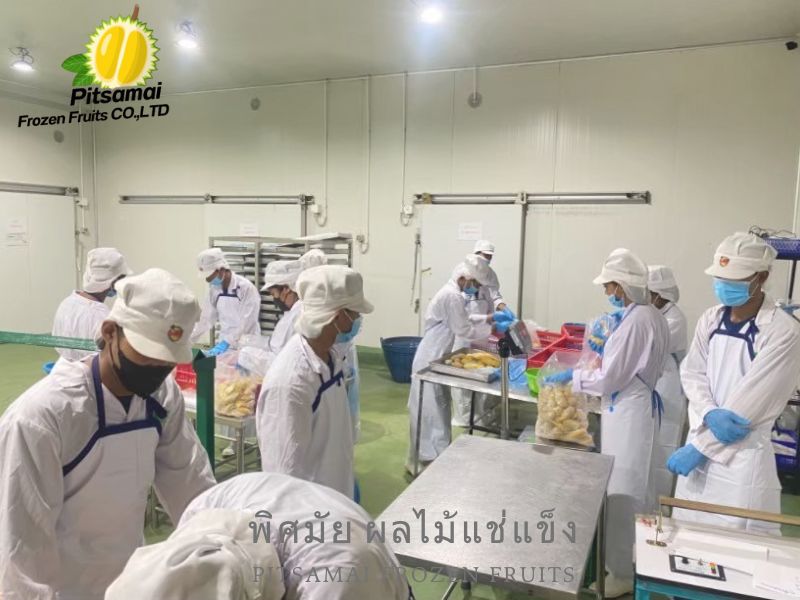 โรงงานผลิตเนื้อทุเรียนแช่แข็ง บรรจุเป็นแพ็ค โรงงานผลิตเนื้อทุเรียนแช่แข็ง บรรจุเป็นแพ็ค