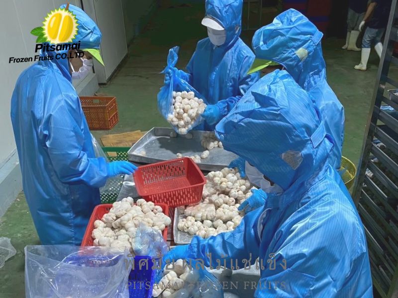 โรงงานแกะเนื้อมังคุดแช่แข็งบรรจุเป็นแพ็ค โรงงานแกะเนื้อมังคุดแช่แข็งบรรจุเป็นแพ็ค