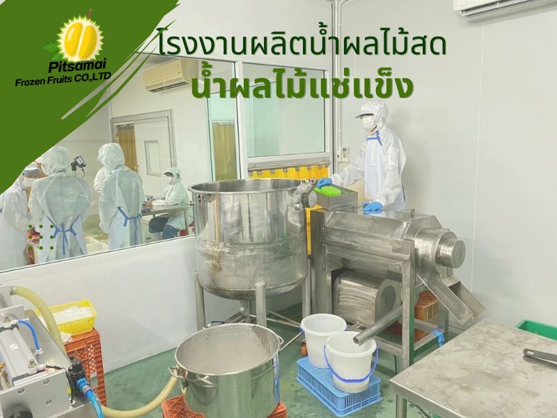 โรงงานผลิตน้ำผลไม้สด น้ำผลไม้แช่แข็ง