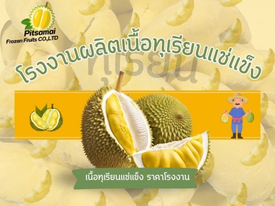 โรงงานผลิตเนื้อทุเรียนแช่แข็ง 