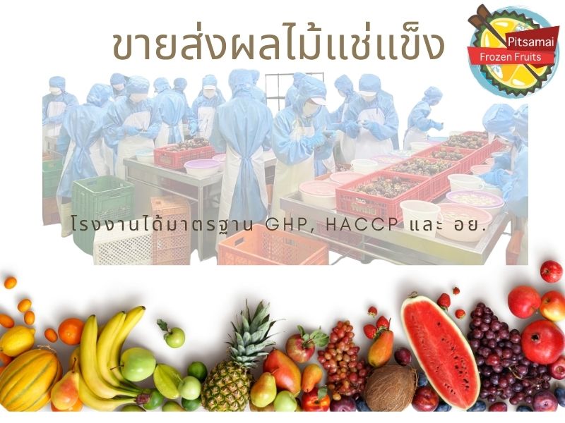 ขายส่งผลไม้แช่แข็ง